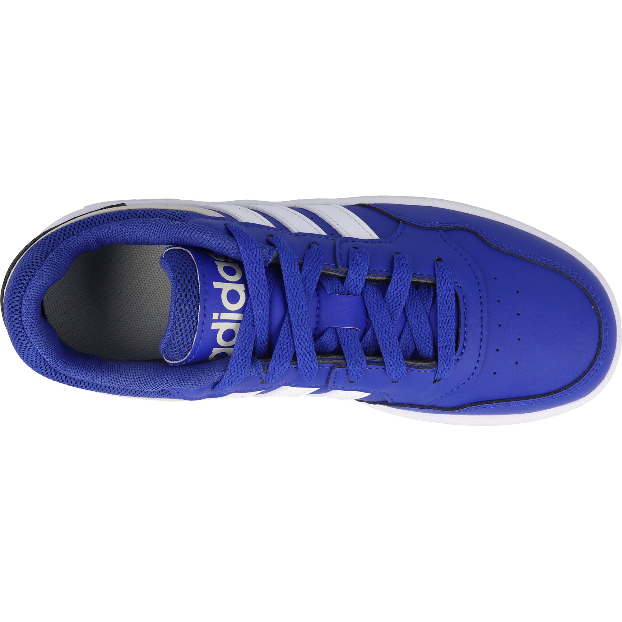 adidas Hoops 3.0 Royal Blue Trainers