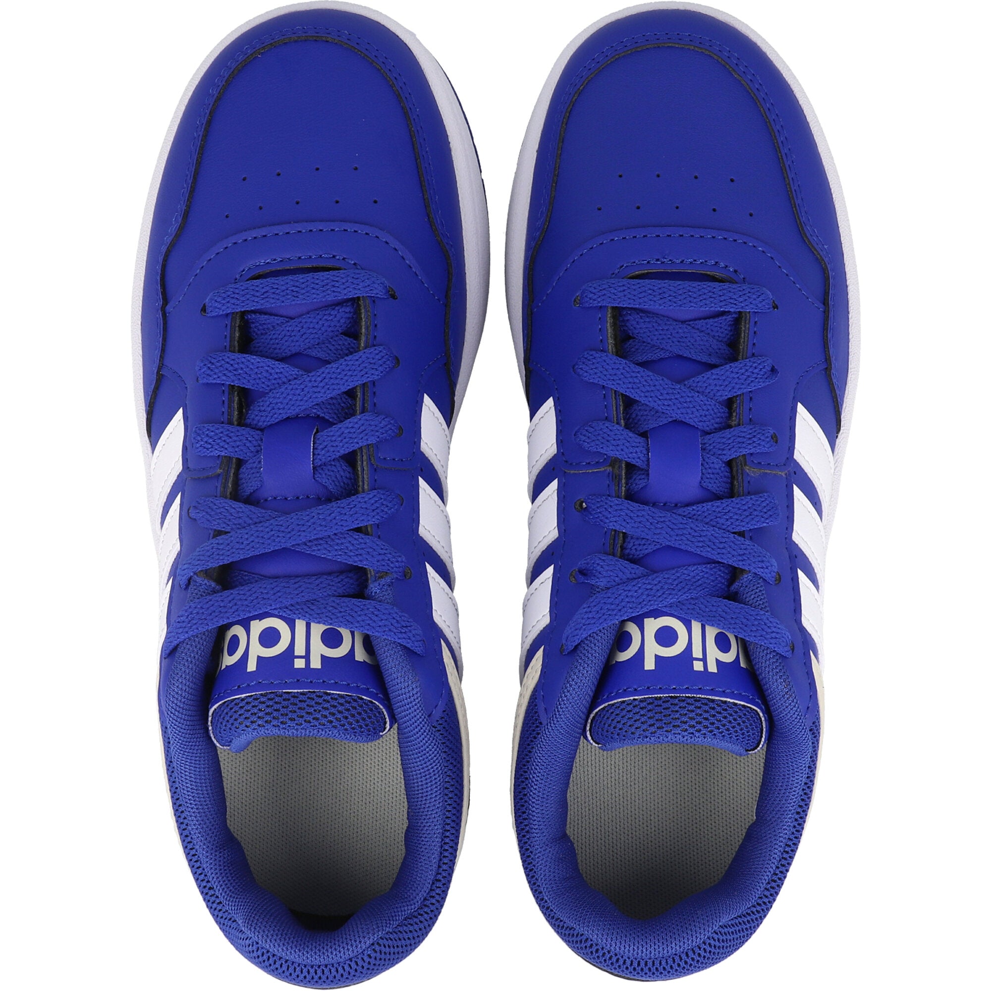 adidas Hoops 3.0 Royal Blue Trainers