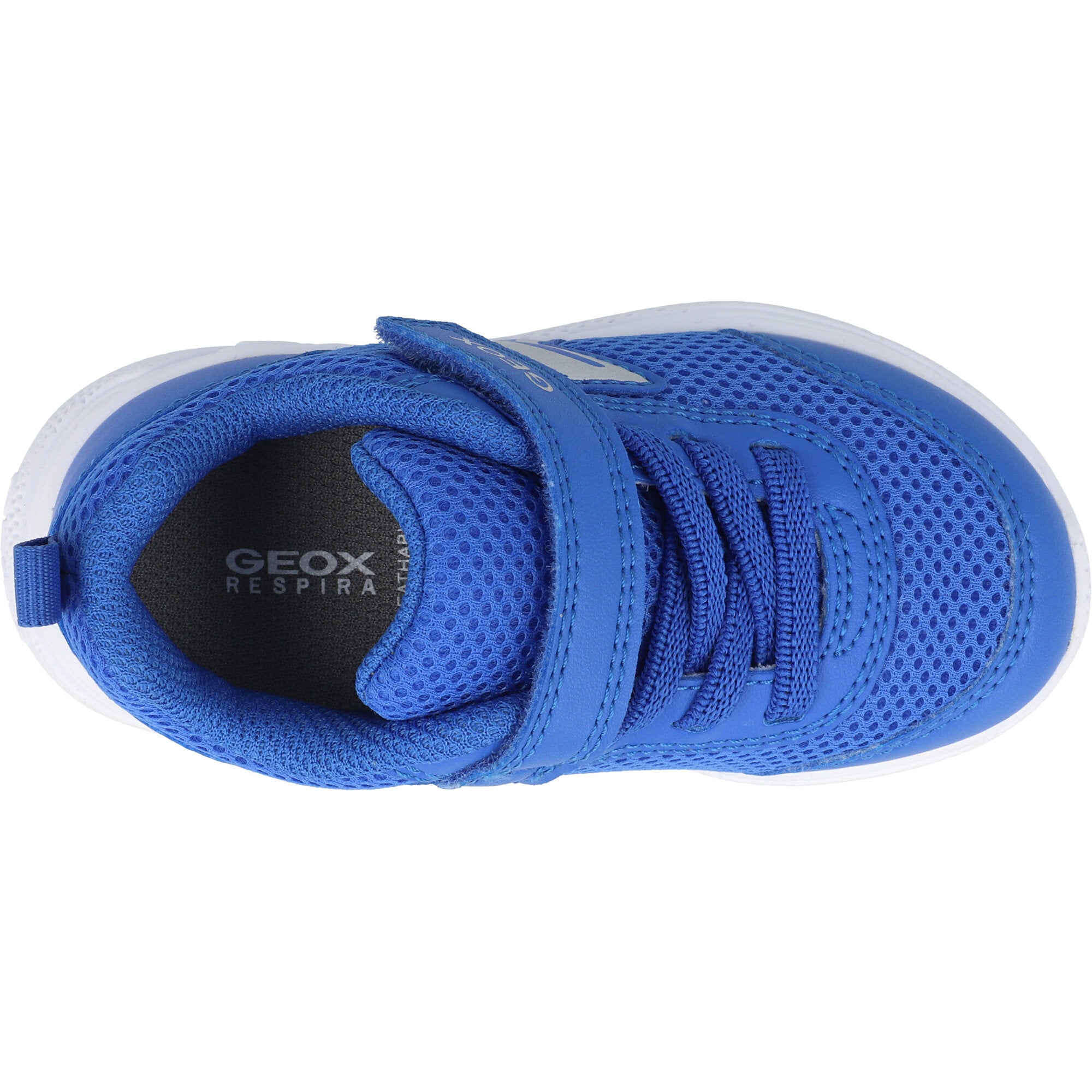 Geox Sprintye C Royal Blue Baby Trainers