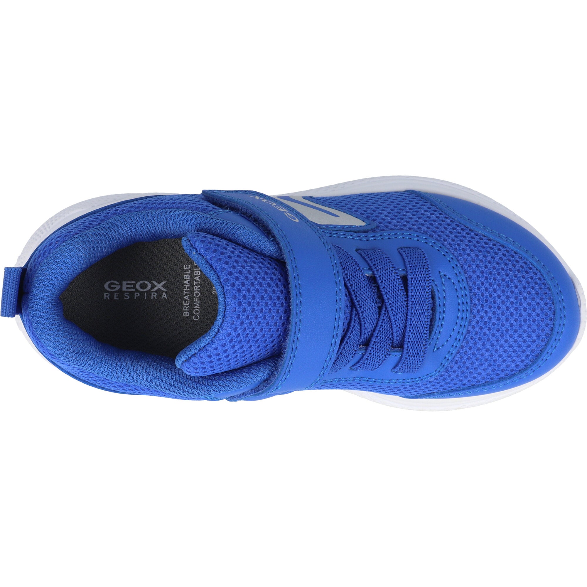 Geox Sprintye Royal Blue Trainers